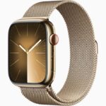 apple watch series 9 price in pakistan stainless steel