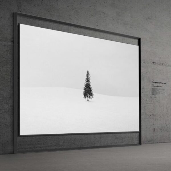 Samsung 130 Inch Micro RGB TV price in Pakistan