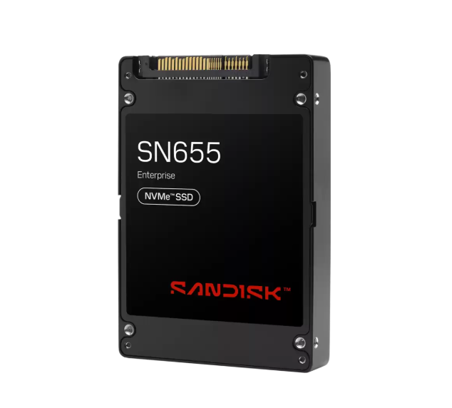 Screenshot - 2026-07-16T041537.656 SANDISK SN655 NVMe SSD 61.44TB price in Pakistan